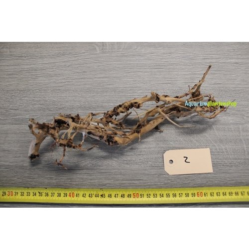 Aquascaping Twig 2 Aquascaping Twig 2