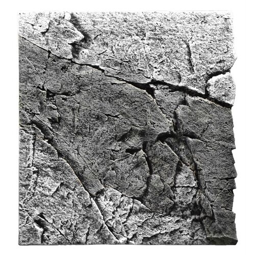 BTN Achterwand Slimline River A 50x55 cm BTN Achterwand Slimline River A 50x55 cm