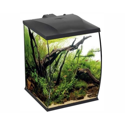 Hs Aqua Aquarium Belly 45 Hs Aqua Aquarium Belly 45