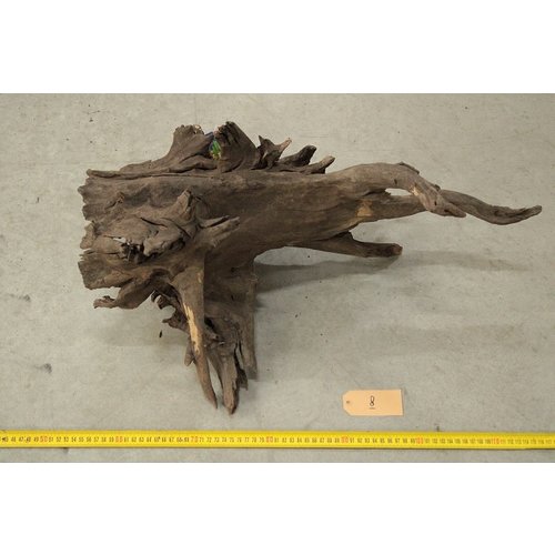 Corbo Root Large 8 Corbo Root Large 8
