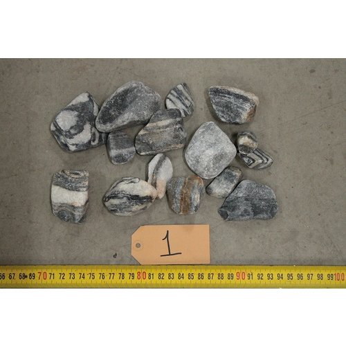 APS Scaping Rocks Zebra 1 APS Scaping Rocks Zebra 1