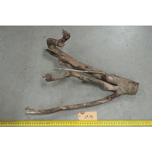 Talawa hout 26 Talawa hout 26