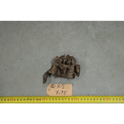 Honeycomb Wood XS 5 Honeycomb Wood XS 5