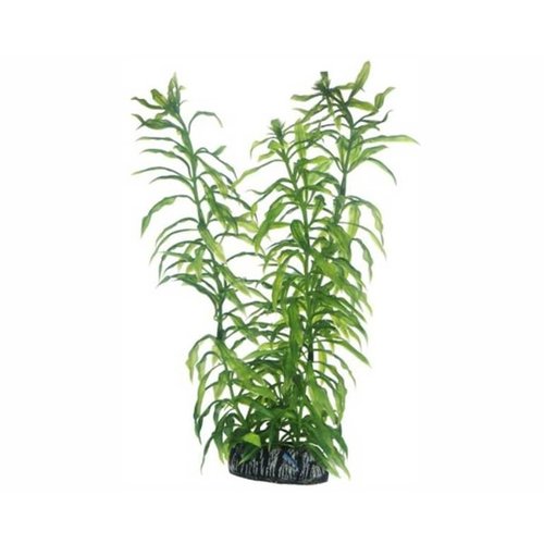 Hobby Hobby Plant Heteranthera 25 cm Hobby Hobby Plant Heteranthera 25 cm