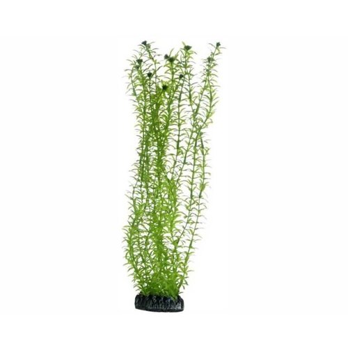 Hobby Hobby Plant Lagarosiphon 34 cm Hobby Hobby Plant Lagarosiphon 34 cm