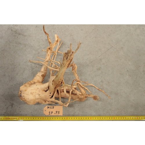 Spiderwood M18 Spiderwood M18