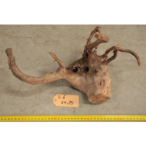 Spiderwood L6 Spiderwood L6