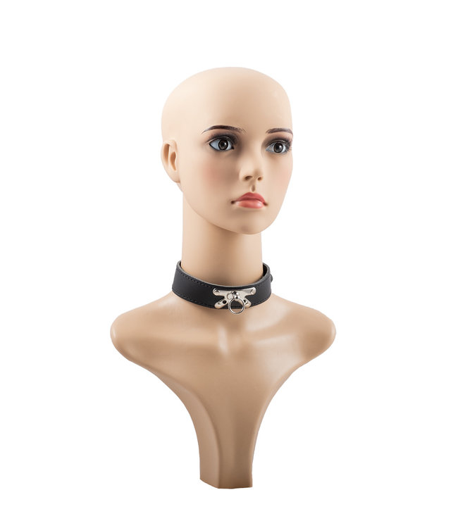 Leather Collar With ORing YourLifestyle