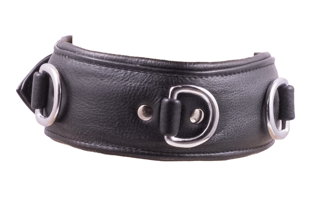 Leather Collar With DRings YourLifestyle