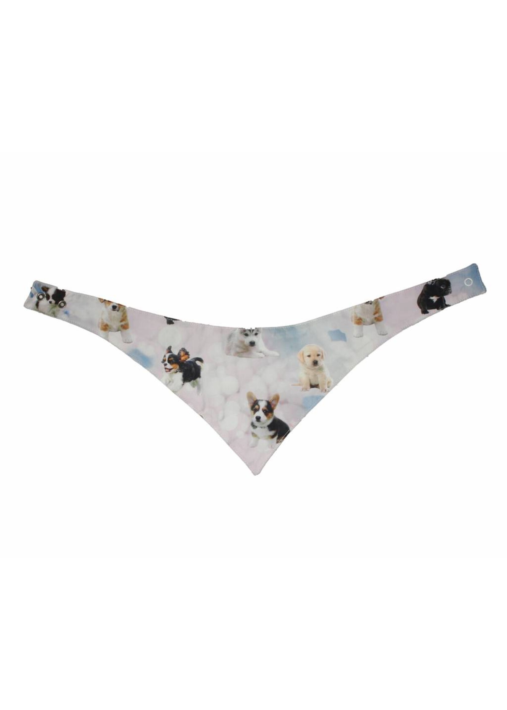 Little Chic by TAVO Little Chic by TAVO Dog collar "Dog heaven"