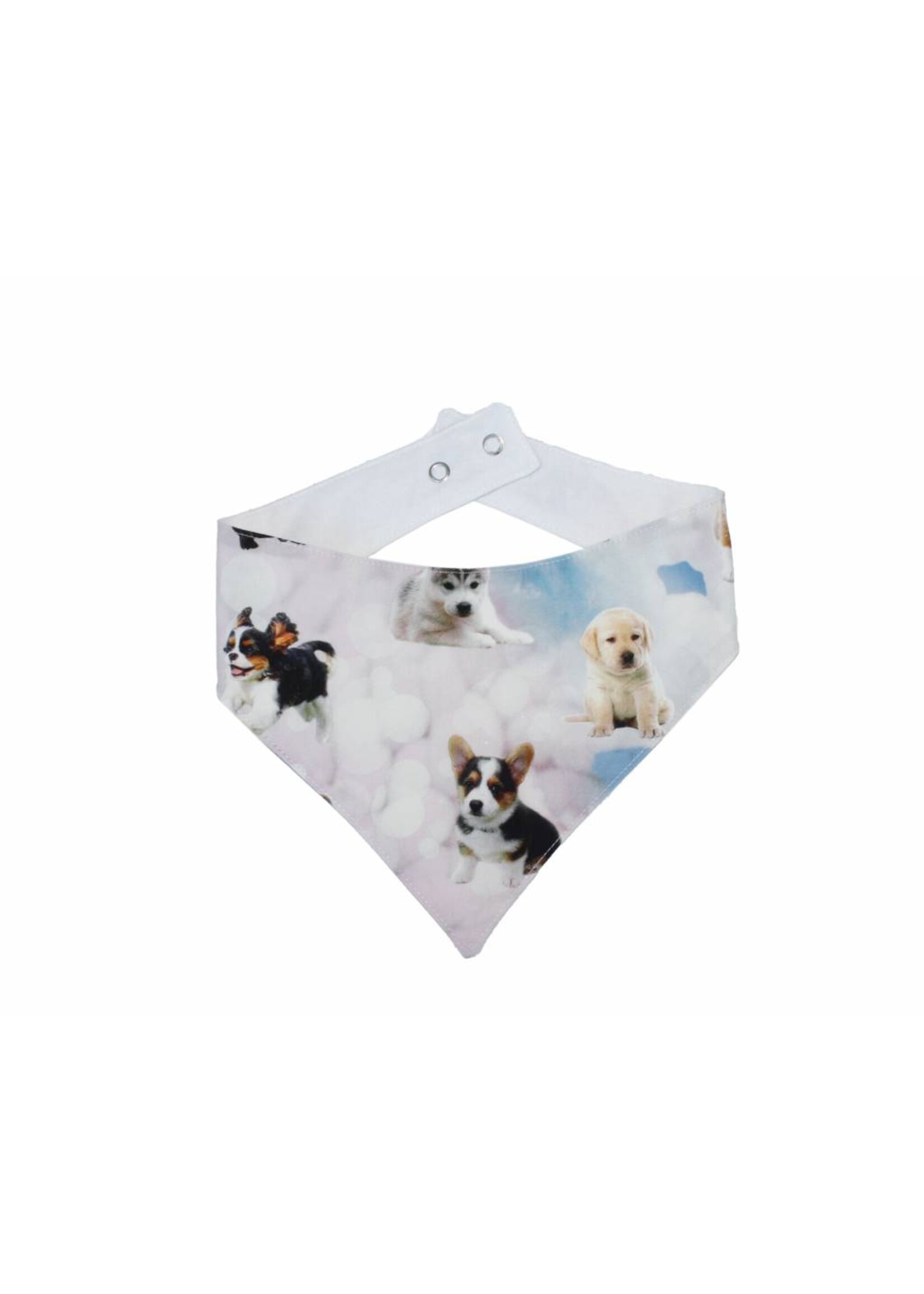 Little Chic by TAVO Little Chic by TAVO Dog collar "Dog heaven"