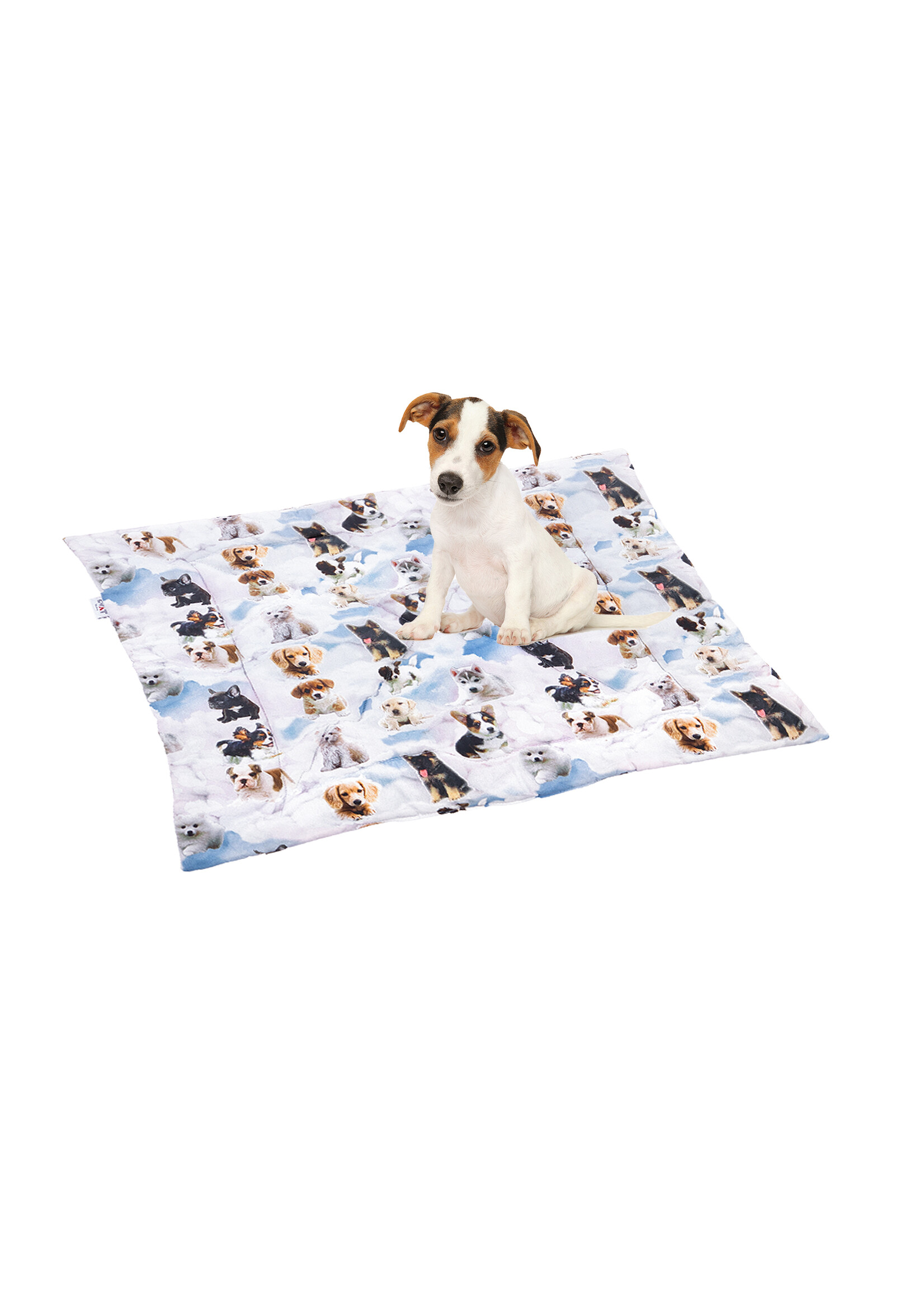 Little Chic by TAVO Little Chic by TAVO (dog) blanket with high down fleece filling "Dogs in heaven"