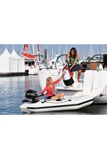 Mercury Mercury F2.5MH outboard engine