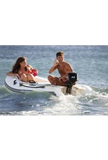 Mercury Mercury F3.5MH outboard engine