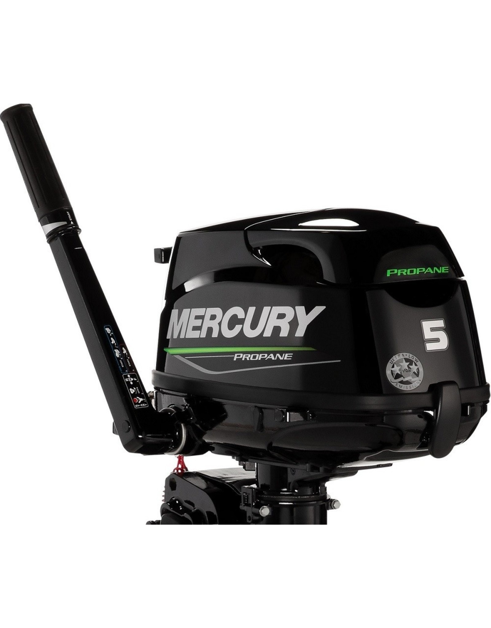 Mercury Mercury F5LPG MH outboard engine