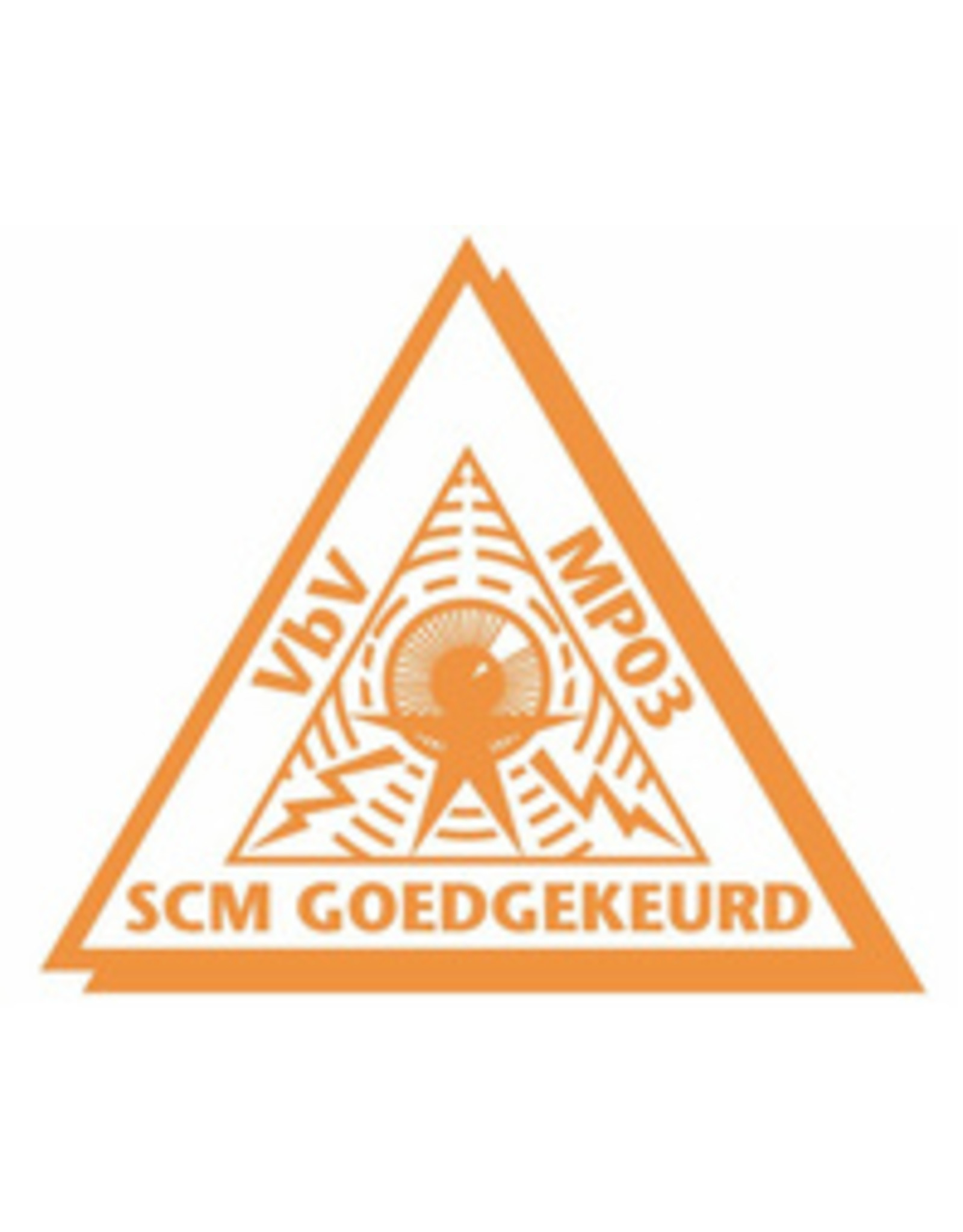 Steady Steady Edelstahl-Außenbordmotorschloss SCM-geprüft ab 15 PS