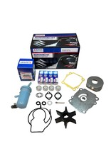 Suzuki Suzuki maintenance kit DF100/115 (10-12)