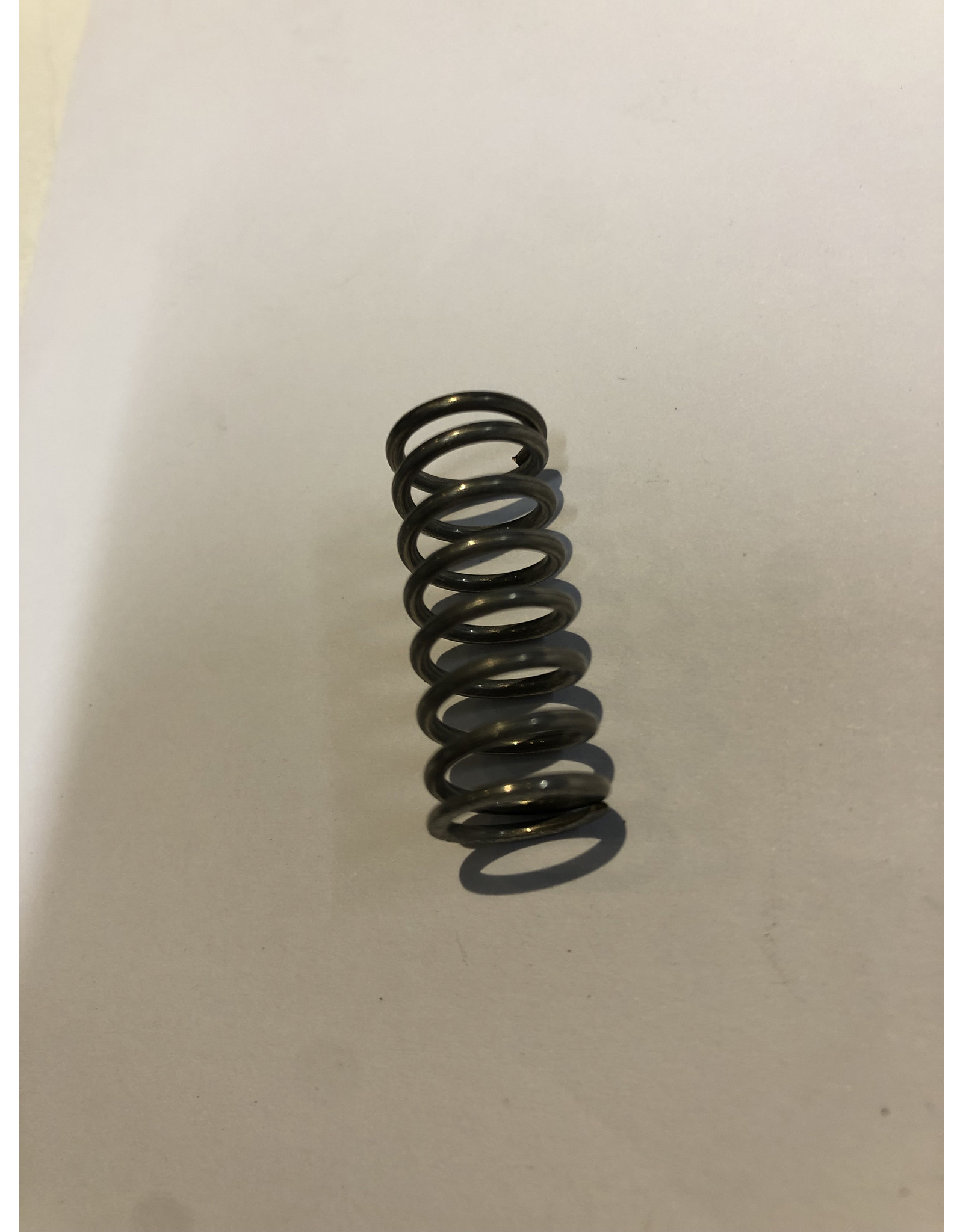 Zodiac Zodiac I/C Valve Spring (MILPRO)