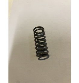 Zodiac Zodiac I/C valve spring (MILPRO)