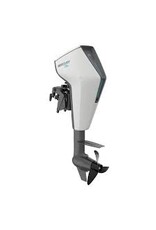 Quicksilver Quicksilver 420 Heavy Duty + Mercury Avator 7.5e