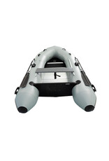 Quicksilver Quicksilver 300 SPORT + Mercury Avator 35e - 5,4kwh