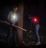 Bee Safe BEE SAFE Led Hardloopvest Lime | Reflectievest