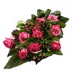 Rouwboeket roze Rozen met blad