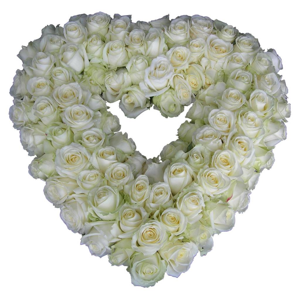 Open Rouwhart witte Rozen afbeelding