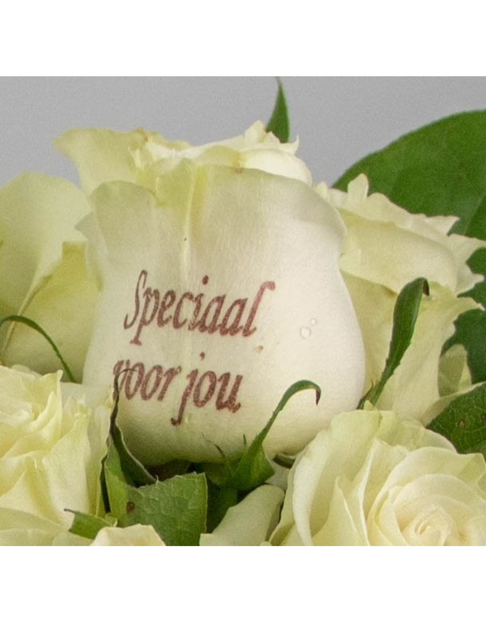 Magic Flowers Boeket 9 rozen - Wit - Speciaal voor jou