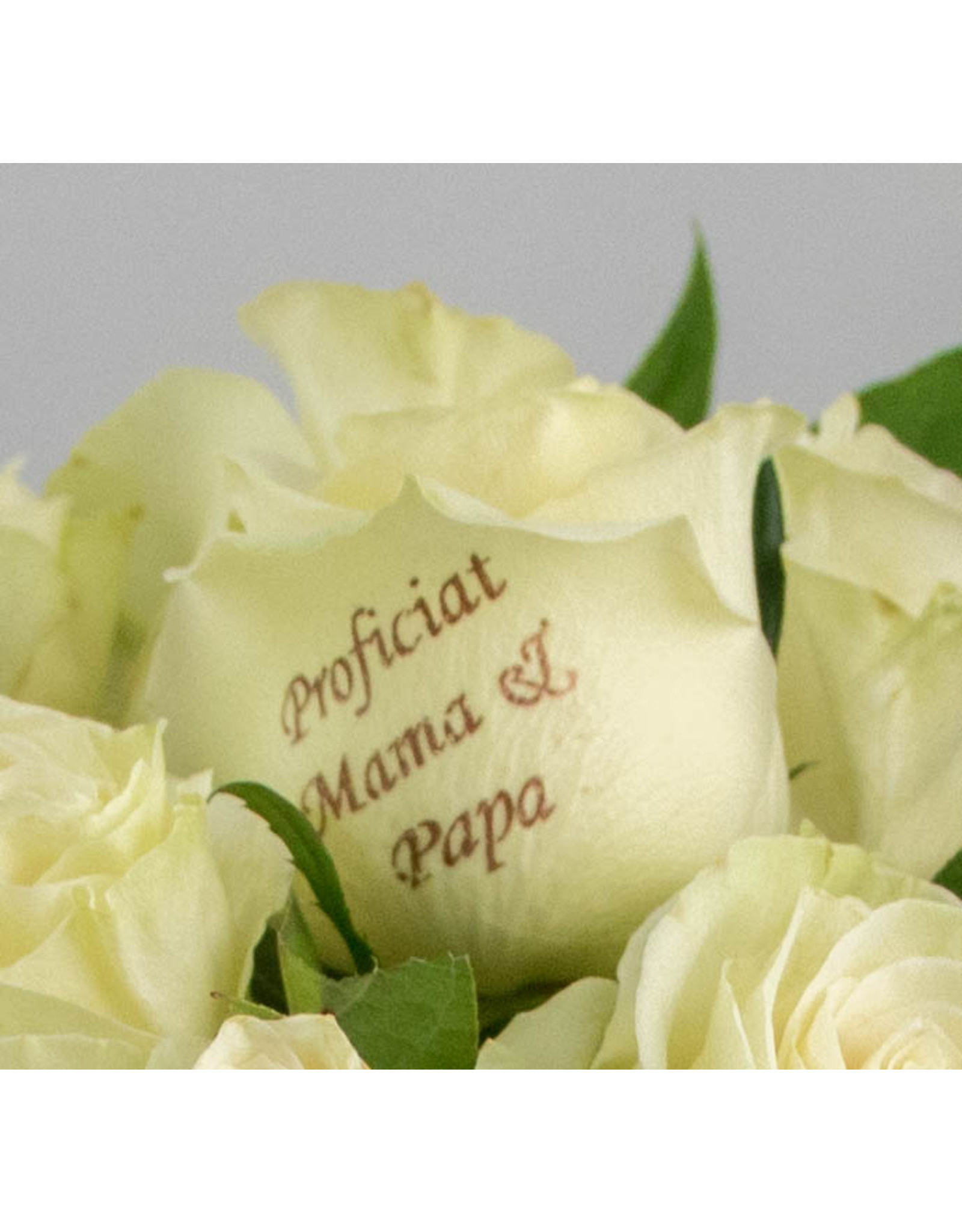 Magic Flowers Boeket 15 rozen - Wit - Proficiat Mama & Papa