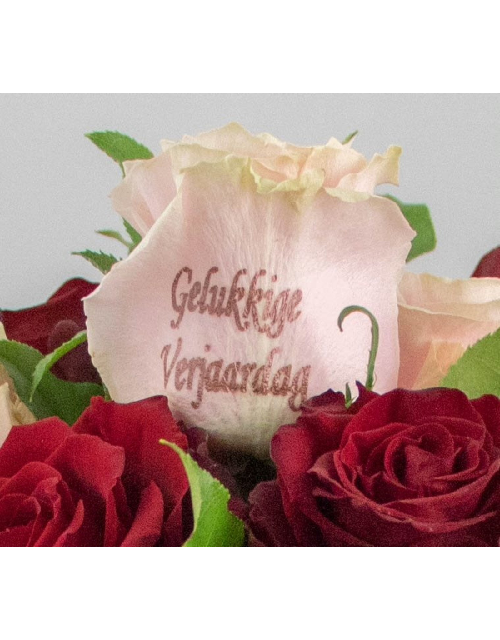 Magic Flowers Boeket 9 rozen - Rood/Roze - Gelukkige Verjaardag