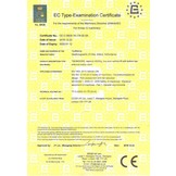 TM 2 Column hydraulic lifting bridge 4 ton Fully automatic 230V