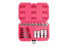 TM 17 Piece Dolle, Chipped Nuts, Bolts and Studs Extractor Set