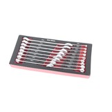 TM 17 Piece Metric Pitch – Ring Wrench Set in foam carbon look inlay