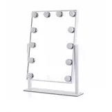 TM  Make up spiegel met verlichting en twee standen 3000K en 6000K