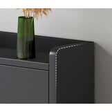 Schoenenkast 99x17x115 cm zwart