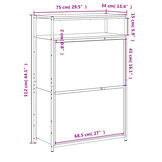 TM Schoenenkast 75x34x112 cm bewerkt hout zwart