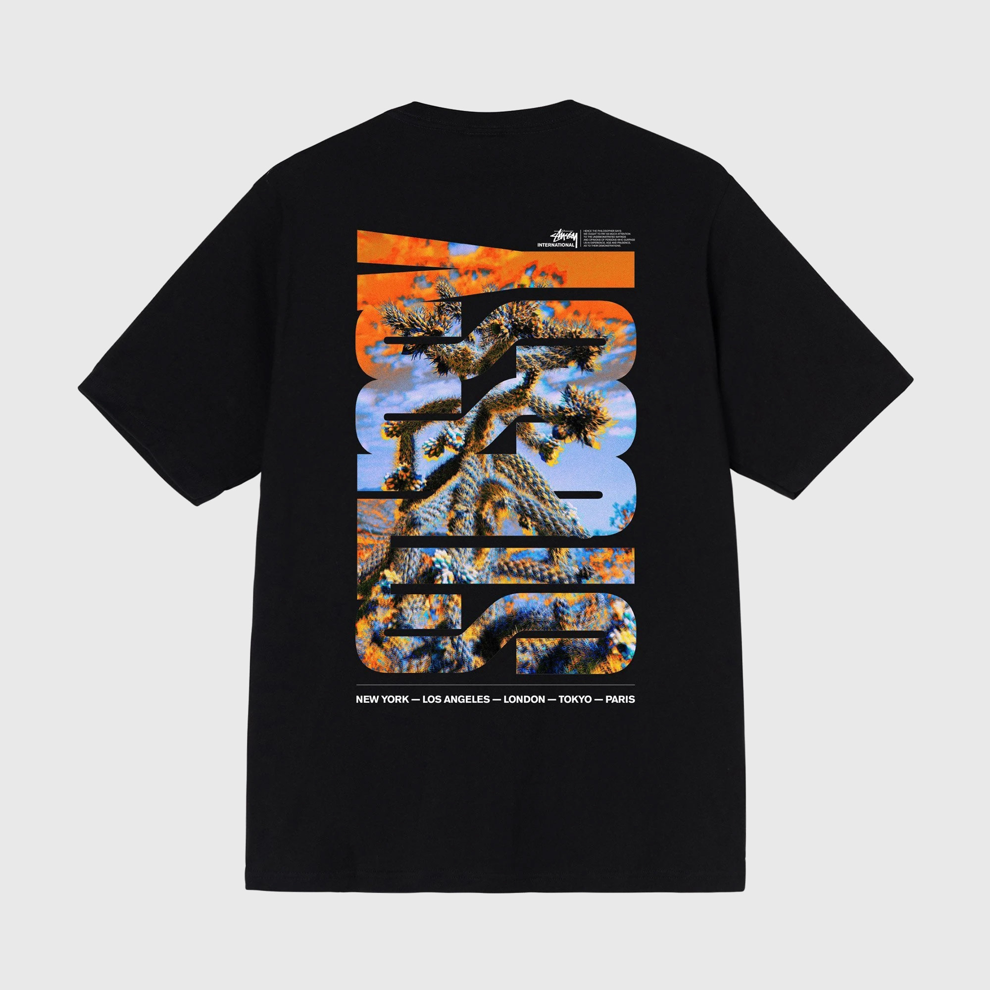 Stüssy Stussy Desert Sky Tee Black 