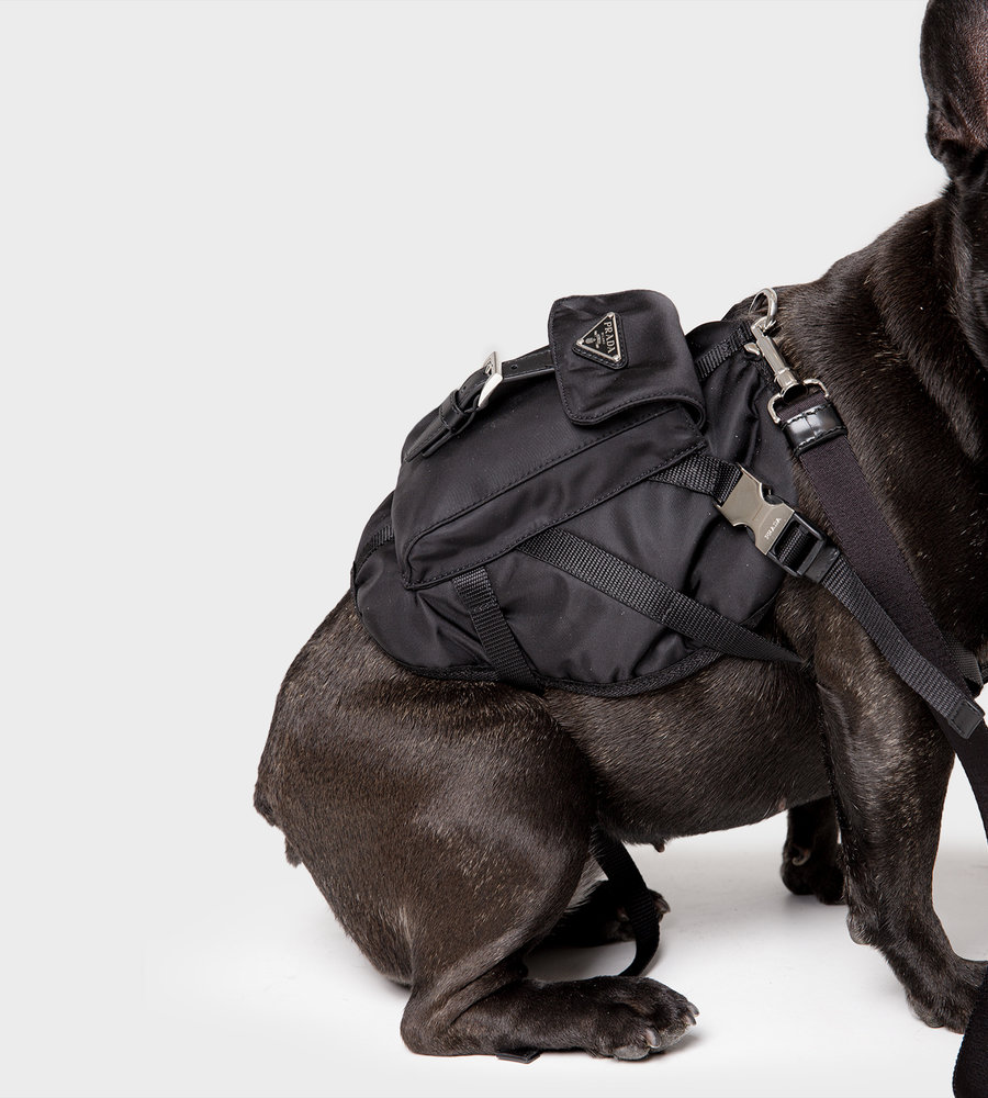 prada pet harness