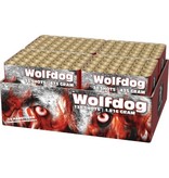 Lesli Feuerwerk Wolfdog 130 Schuß Megaverbund 120 Sek