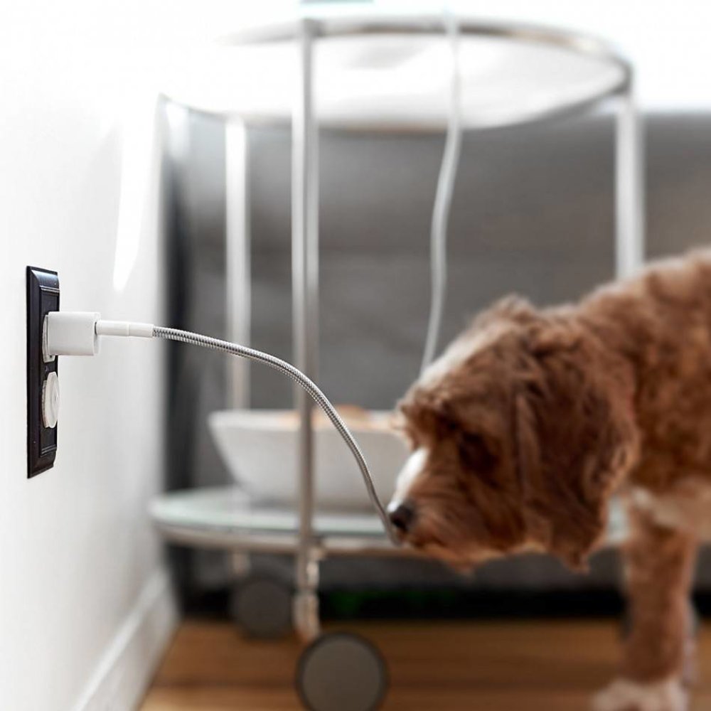 Fuse Chicken Fuse Chicken Titan Lightning Kabel