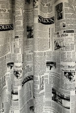 Newspaper