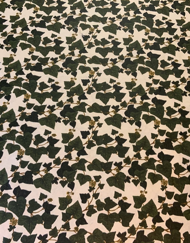 Wachstuch 100 Hedera