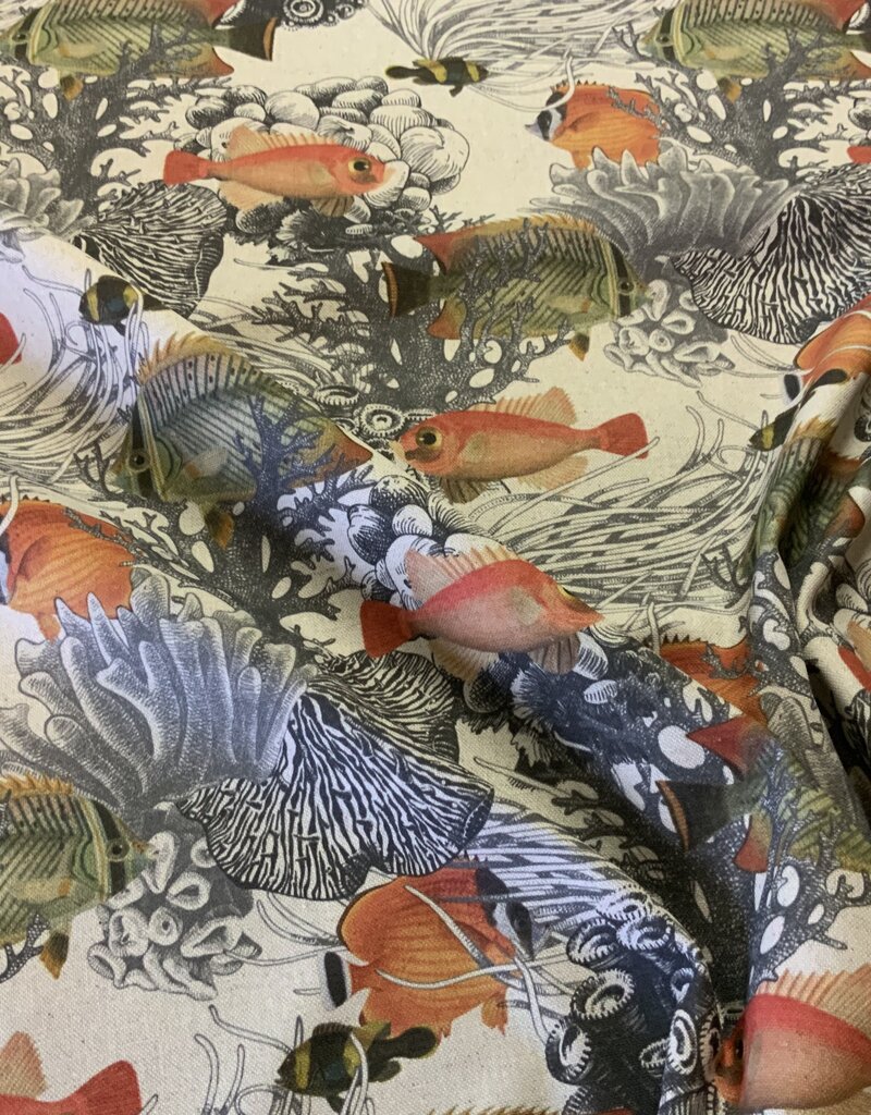 Goldfisch mit schwarzer Koralle