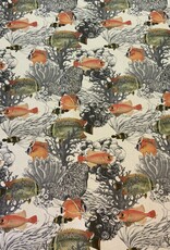 Goudvis met zwart koraal