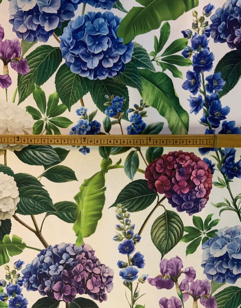 Hortensien in allen Farben.