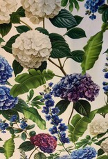 Hortensia’s in alle kleuren.
