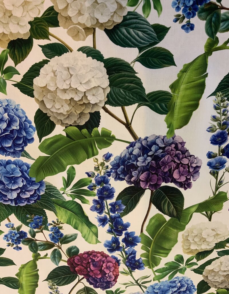 Hortensia’s in alle kleuren.