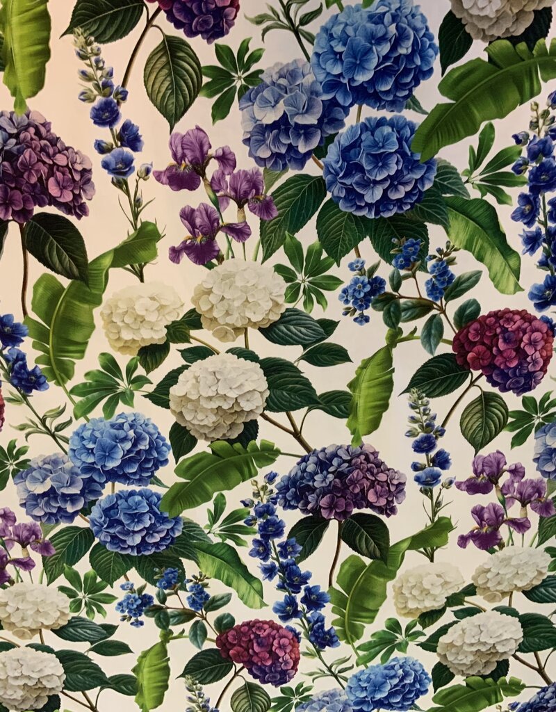 Hortensia’s in alle kleuren.