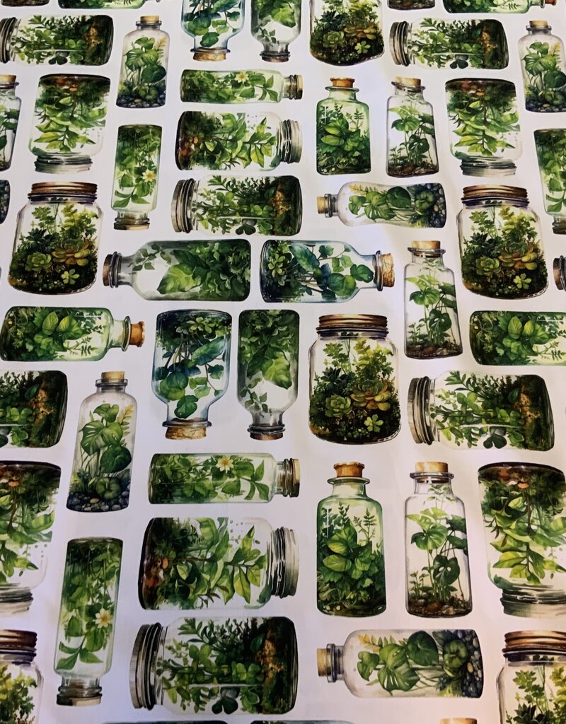 Groene kruiden in glazen potten